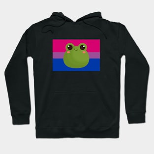 Bi pride Hoodie